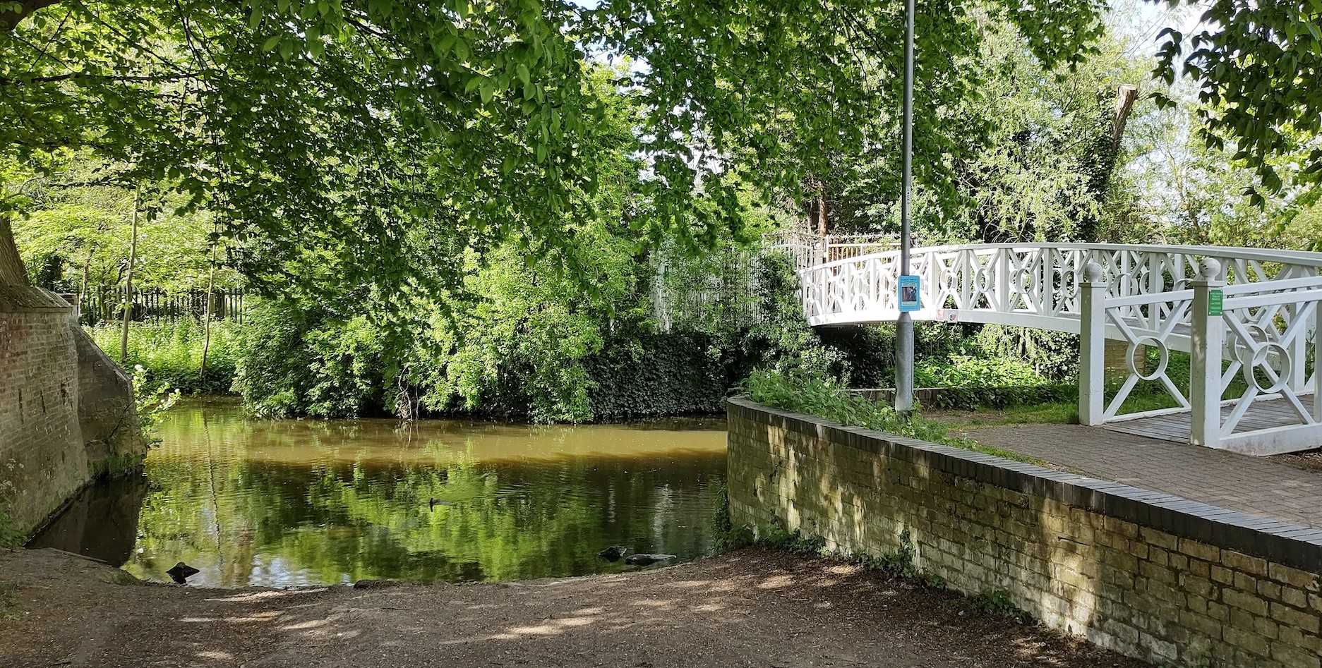 After image